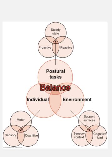 Postural Control Lecture Flashcards Quizlet