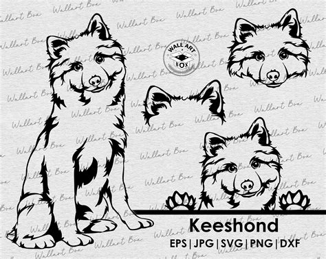 Keeshond Dog Svg Dog Full Body Peeking Head Ears Files For Etsy