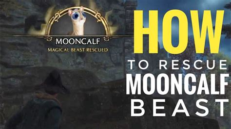 Hogwarts Legacy How To Rescue A Mooncalf Beast Story Quest Youtube