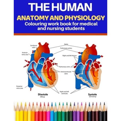 The Human Anatomy And Physiology Colouring Workbook For Medical And