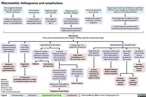 Diabetes Calgary Guide