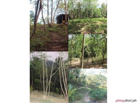 Cheap Has Farm Lot For Sale In Drt Bulacan Do A Remedios Trinidad