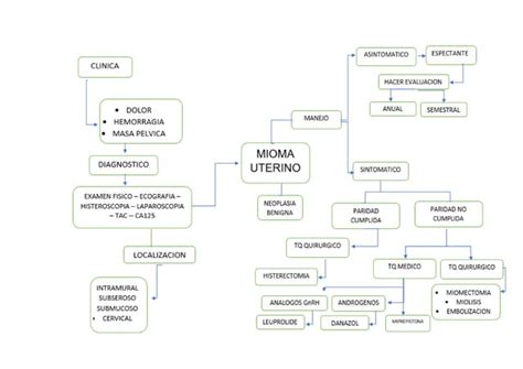 Algoritmo De Manejo De Mioma Uterino PPT Descarga Gratuita