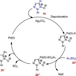 Proposed Mechanism For The Palladium Catalyzed Arylation Between Of