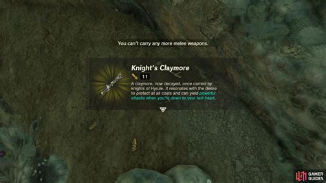 Knights Claymore The Legend Of Zelda Tears Of The Kingdom Database