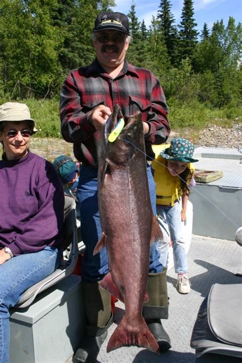 Alaska King Salmon Alaska Fishing Guide Fishtale River Guides