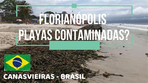 Playas contaminadas en Florianópolis I SC l Brasil YouTube