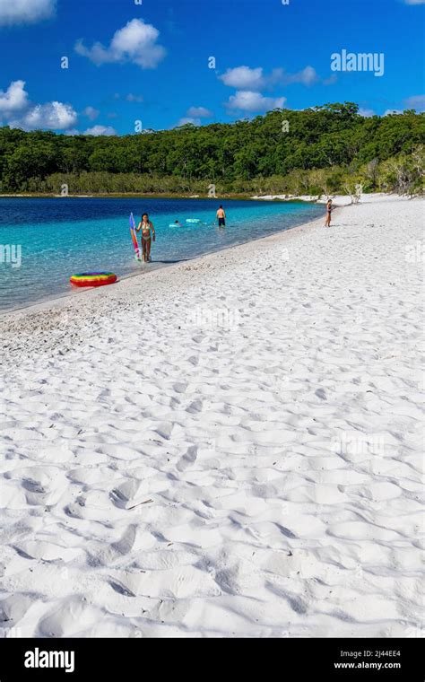 Tourists Swim In The Crystal Clear Water At Lake Mckenzie On Fraser