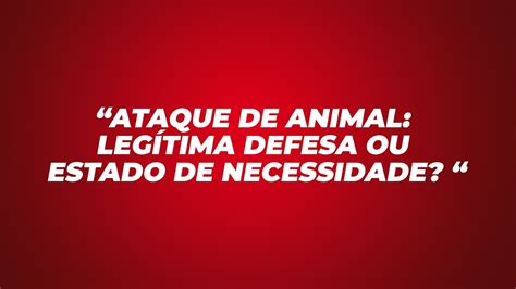 ATAQUE DE ANIMAL LEGÍTIMA DEFESA OU ESTADO DE NECESSIDADE YouTube