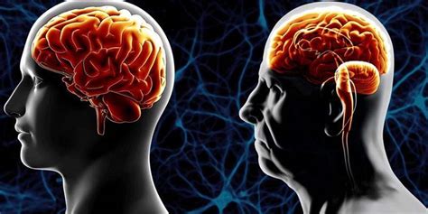 Mantenere Giovane Il Cervello Trucchi E Consigli Per Allenare La