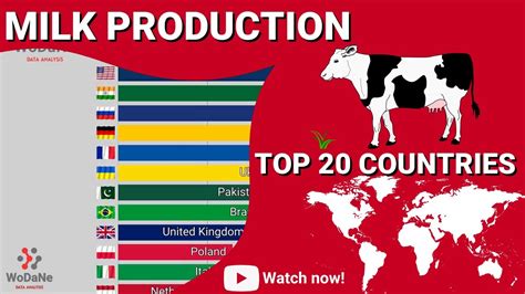 TOP 20 Countries By Milk Production YouTube