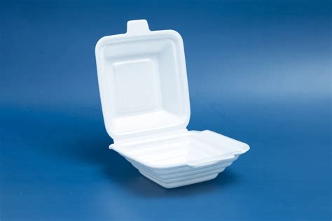 Oem Disposable Ps Foam Food Container Take Away Box Eco Friendly