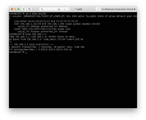 Installation of an ESXi pfSense Server with a Dedicated IP