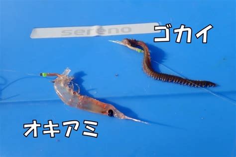 海釣りの万能エサ『ゴカイ』ほかの虫エサとの使い分けを紹介｜イソメの種類や保管方法まで Tsuri Hack[釣りハック]