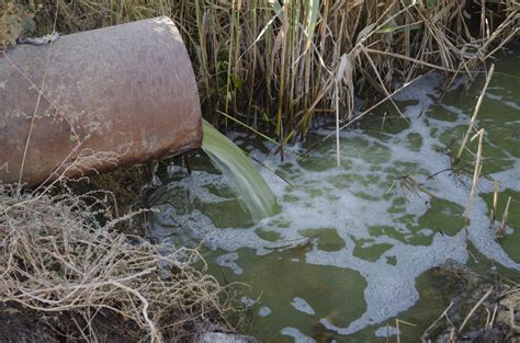 Water company hit with major fine after failing to stop raw sewage from ...