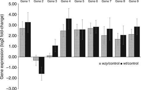 Gene Expression Profiles Of Plants Inoculated With Purified LPSs From