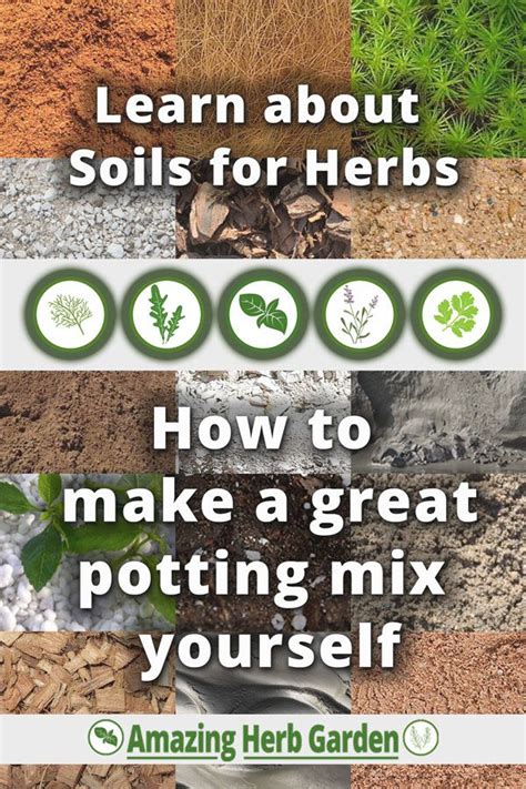 Soil For Herbs All Components Explained How I Make My Own Potting