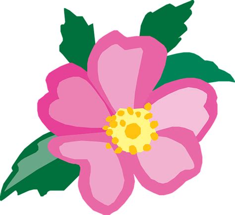 TAM 212 - Spring 26