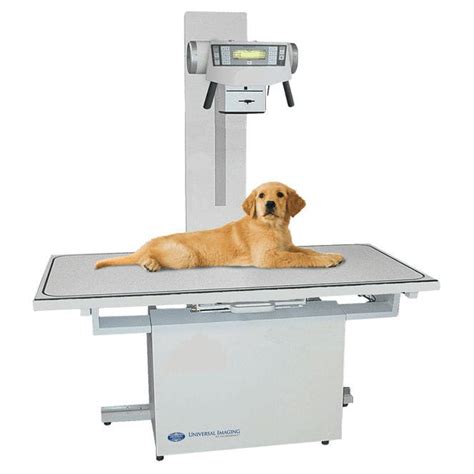 Digital Veterinary X Ray System Universal Imaginginc For Domestic