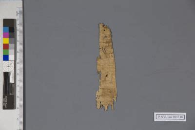 Papyrus Fragment P Nyu Inv New York University Collection Of