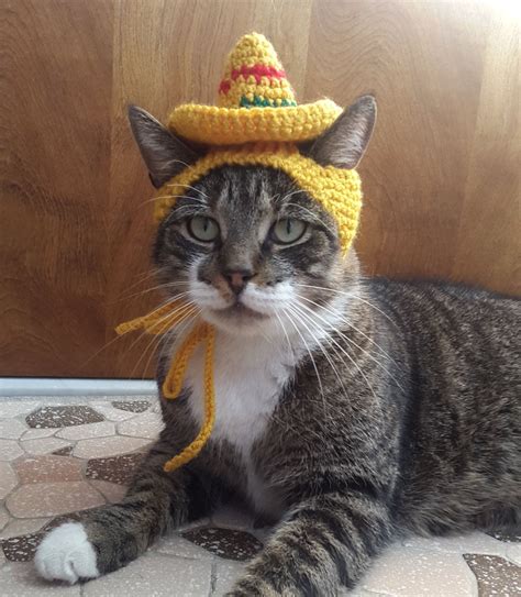 Sombrero Cat Hat Knit Hat For Cat Cat Costume Halloween Etsy