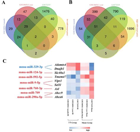 Graphical Representation Of The Aberrantly Expressed MiRNA Gene Network