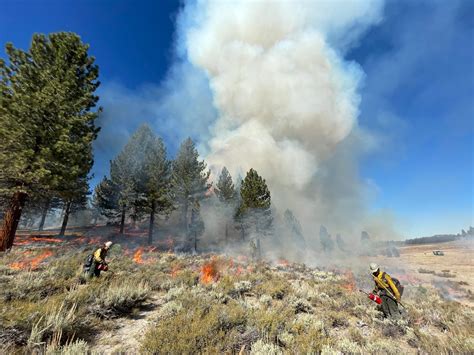 Inyo National Forest Press Release Prescribed Burn Update For October