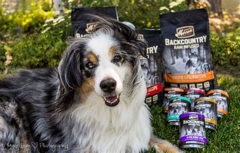 Merrick Backcountry dog food review - Tales from the Backroad