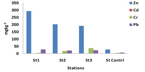 Variations Of Heavy Metal Concentration In Sediments Across Stations Download Scientific Diagram