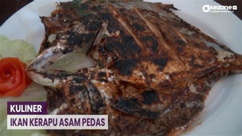 Nikmatnya Mencicipi Kuliner Ikan Kerapu Asam Pedas Di Pandeglang Banten