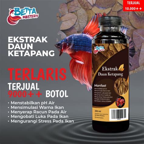 Jual Ekstrak Daun Ketapang Hitam Pekat Perawatan Ikan Cupang Ml