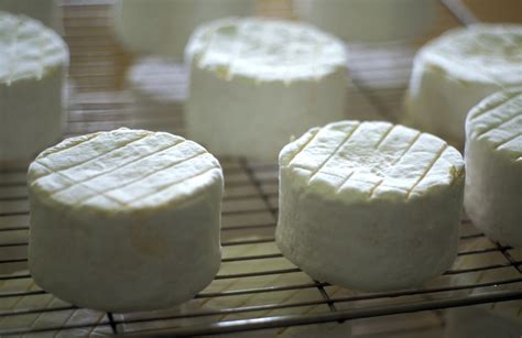 Comment Faire Du Fromage Frais Maison Ventana Blog