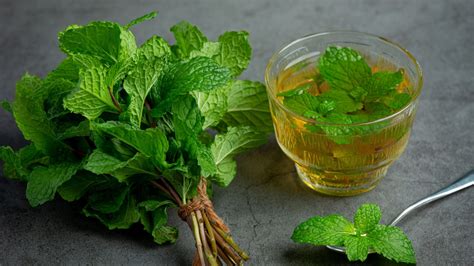 How To Make Spearmint Tea At Home Know Its Benefits And Side Effects