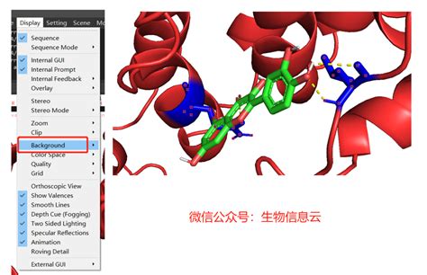 分子对接教程 8 Pymol可视化对接结果bioinfonotes Csdn博客