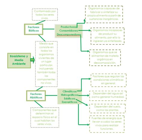 Ecolog A Y Medio Ambiente Cuadro Sin Ptico De Los Factores Bi Ticos Y