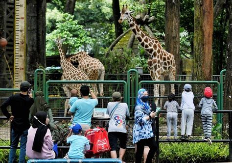 Rekomendasi Wisata Murah Di Jakarta Cocok Untuk Liburan Dengan Keluarga