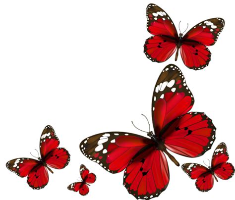 red butterfly png 10 free Cliparts | Download images on Clipground 2024