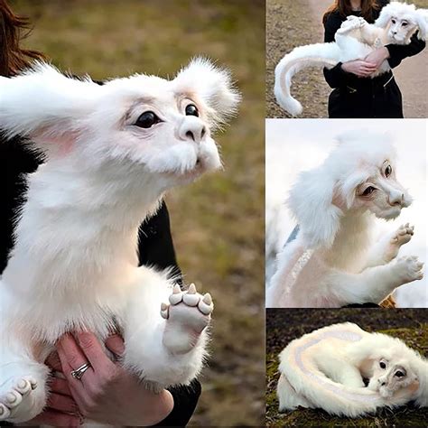 Buy Falcore Luck Dragon Plush, Falkor from The Neverending Story Handmade Plush Toy, Plushies ...