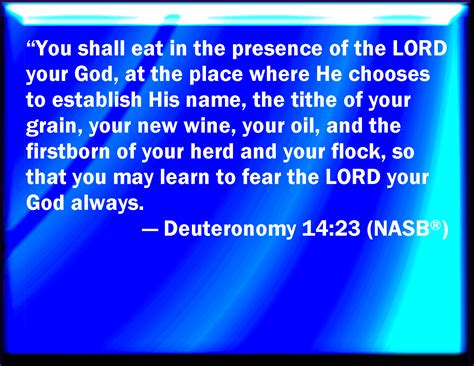 Deuteronomy 14 23 And You Shall Eat Before The LORD Your God In The