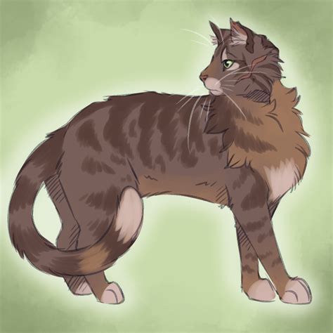 Redscar Chocolate Classic Marbled Tabby With Slugs Genetically