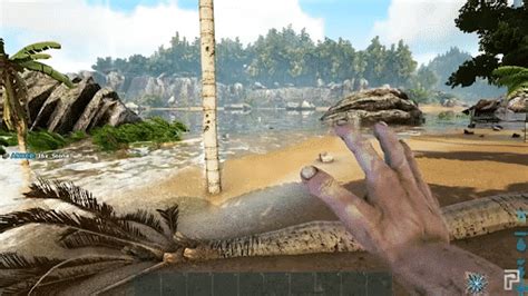 Beginners Guide To Ark How To Survive The Ark