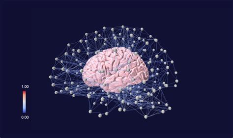 Structural Brain Connectivity Nodes Represent Brain Regions Of