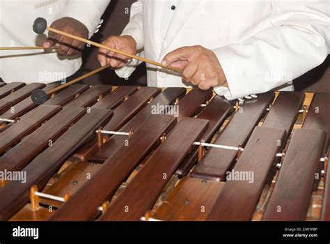 Primer Plano De Un Teclado Marimba O Hormigo Guatemala Instrumento