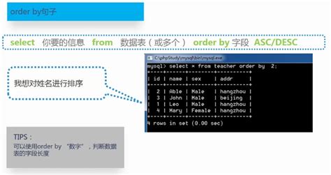 01 Web基础知识第二章Web开发基础知识第四节后端开发基础 SQL CSDN博客