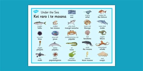 Under The Sea Word Mat Te Reo M Ori Teacher Made