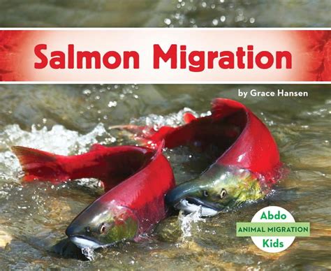 Animal Migration: Salmon Migration (Hardcover) - Walmart.com - Walmart.com