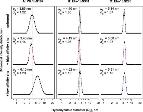 Heterogeneity In Conformational Dynamics Of The Homologous Ets Domains