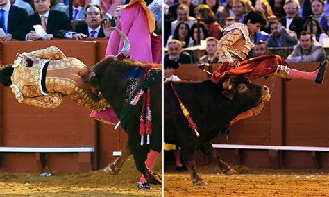 Shocking Moment Matador Is Gored In The Bum By Angry Bull Yet Survives