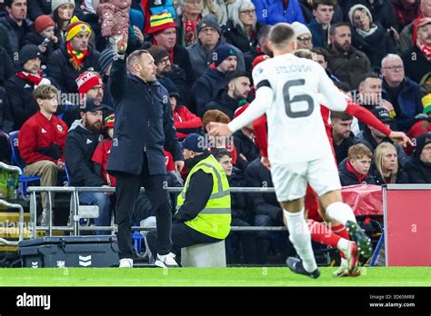 craig bellamy manager  wales gestures   fifa world cup
