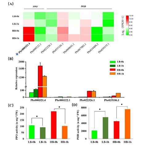 Expression And Enzyme Activities Of Polyphenol Oxidase Ppo And